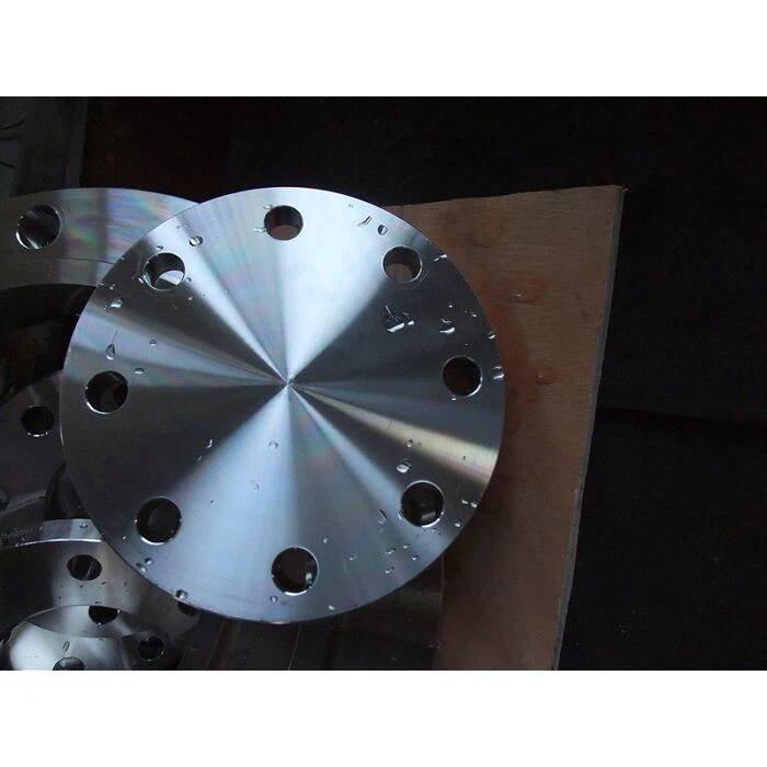 316 Stainless Steel Ff Flange