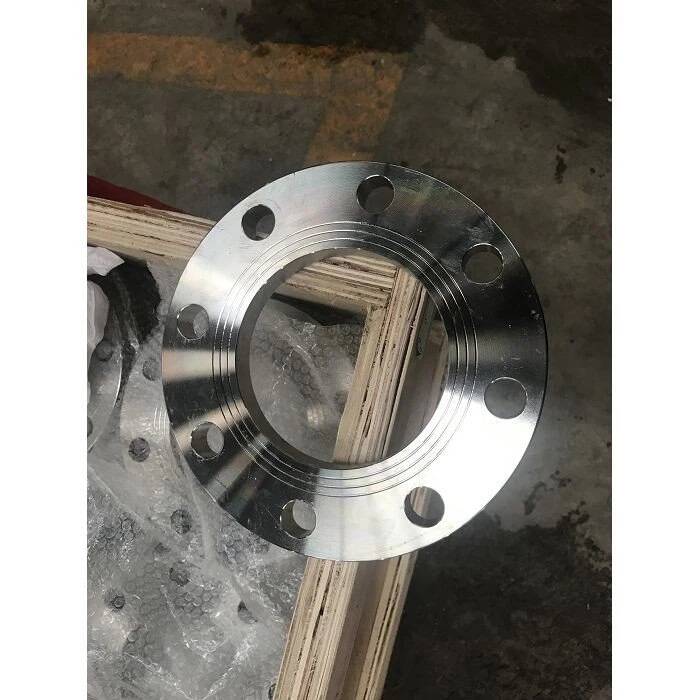 316 Stainless Steel Ff Flange